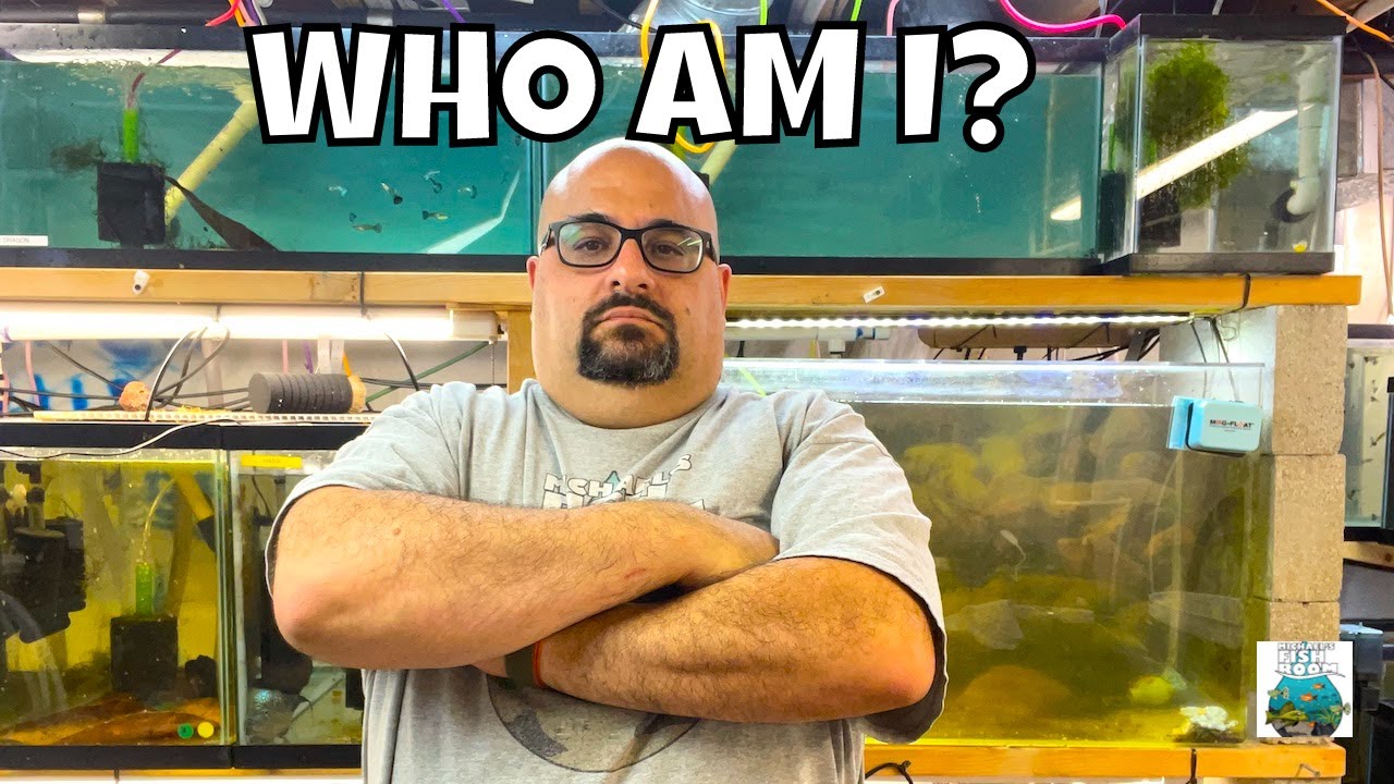Load video: Who is Michael from Michaels Fish Room